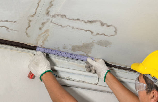 Reliable Water Removal contractor in Ecleto, TX by Water Damage Irwin